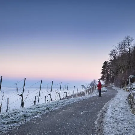 Zur Rebe * Mehring (Rhineland-Palatinate)