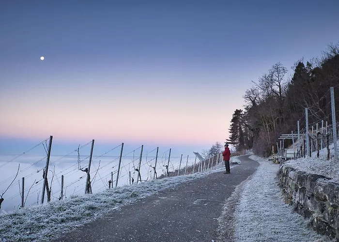 Zur Rebe * Mehring (Rhineland-Palatinate)