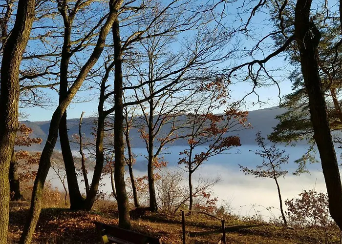 Gasthof Zur Rebe Mehring (Rhineland-Palatinate)