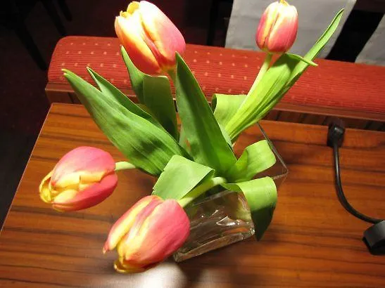 Zur Rebe * Mehring (Rhineland-Palatinate)